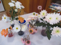 IMG_1995