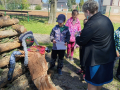 IMG_20260430_145328