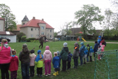Dravci u nás
