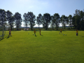 IMG_20260622_083322