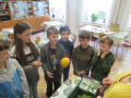 IMG_4031-2