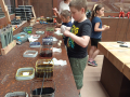 IMG_20250502_113350